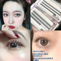 Dream Deer Fake Eyelash ~ Fish Tail supernatural sectional Barbie wool single cluster dovetail type self-married sending glue