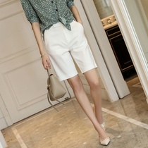 Sandro Svpr leash has a light weight and is well-inclusive ~ Its very much the temperament of the workplace elite