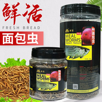Bocon breadworm dragon fish feed large meat fish Golden Dragon Silver Dragon feed parrot fish floating worms