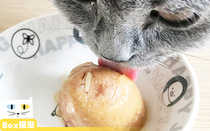 25g single conic Jelly Cat Pudding Cat Canned cat snack Tuna salmon chicken