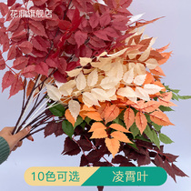 Simulation Lingxiao leaf silk flower ice heart leaf autumn color wedding hall background ceiling decoration road lead flower arrangement soft leaf material