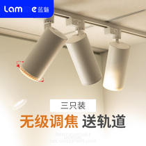 Blue charm led track light spotlight shop commercial clothing store super bright rail focusing COB ceiling wall light