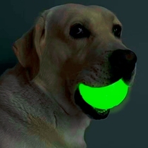 Petmate Night Dog Bite Big Flexibility Toy Outdoor Chuckit Pet Dog Luminating Ball
