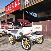 New Pony Carriage Debaorchtland Mini Pony Car Tourism Exhibition Carriage Customized