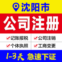 Business license agency Liaoning Shenyang company registration agent bookkeeping e-commerce enterprise industrial and commercial self-employed cancellation