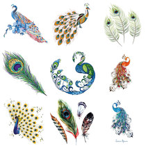 25 EPS bird peacock illustration peacock feather illustration vector design material 2016081010