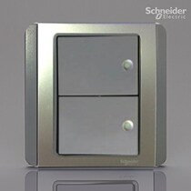 Schneider E3000 series with fluorescent double Open double control switch gray Silver