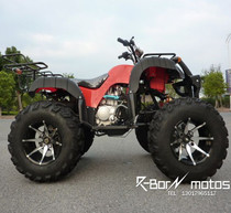 Another →12 Aluminum Wheel Water Cooled 250cc Differential Shaft Drive Big Bull Beach Car Motorcycle