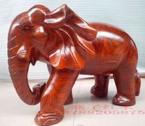 Vietnam mahogany crafts Rosewood elephant 60cm safe auspicious (elephant) overseas wood carving ornaments