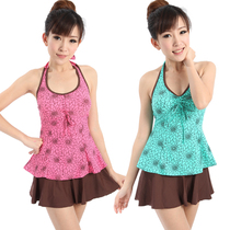 Trumpeter split skirt style swimsuit female hanging neck conservative small chest big chest big chest Thin Thin gathering belly hot spring swimming clothes