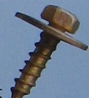 Quality Shanghai crowdleaf plate screws photographed indicating to be large gaskets or small gaskets