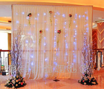 Shanghai wedding group photo photo background hotel photo background welcome background welcome background layout rental