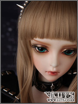 (LUTS)Delf NINA (Korea)