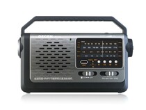 Degen Dejin DE320 full band plug-in card MP3 energy-saving lighting AC and DC radio