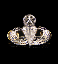 American Metal Badge American Superior Umbrella Drop Badge American Umbrella Drop Chest Badge Badge