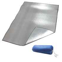 Fei Tuo aluminum moat anti-tide pad outdoor tent pad widening and thickening single double picnic pad 200 ×200