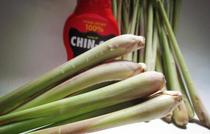 Citronella 500g fresh Lemongrass Dongyin Gong Soup Spice Leaf