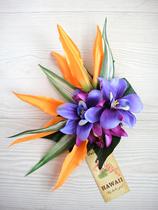 Hawaii Grass Dance Show Accessories Accessories Accessories