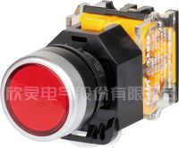 Xinling push button switch 22D open hole 22MM high quality self-locking flat button LAN38-22D-11T