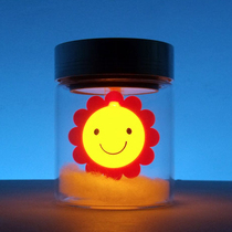 Creative gifts Tanabata Valentines Day Birthday gifts for women to send men sun flowers healing blossoming special novel and different