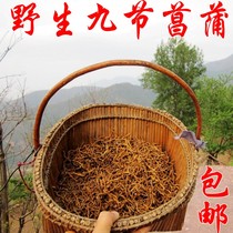 Shanxi Chinese herbal medicine wild nine-section calamus Calamus calamus 50g 2kg