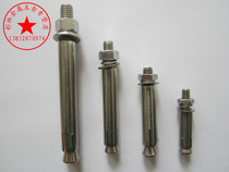 304 stainless steel outer expansion screw pull explosion screw Wall expansion screw M12 extended series
