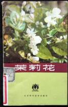 The Secondhand Jasmine Flower is a