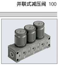 Matt Walker Skillair100 in parallel-type pressure reducing valve 3202101234A