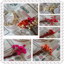 Brazilian Little Star Flowers Full Of Stars Natural Plant Glass Hood Filler Drip Resin Solid Dry Flower Bracelet Ring