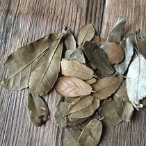 Natural dry leaf set props window design handmade material leaf shooting props dry leaf diy material