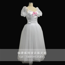 Yanzi dance ballet shows a professional custom Giselle Long dress in front of a flower Pompeo princess dresses dress