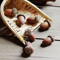 Natural ACORN forest system zakka hazelnut ornaments DIY material accessories dried fruit Pine Cone photo props