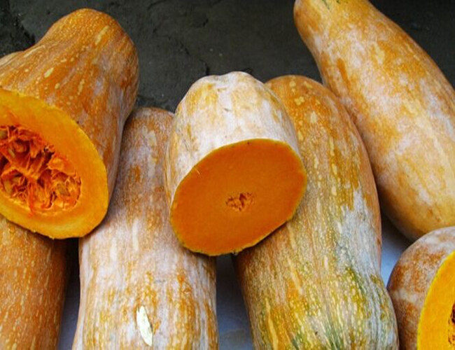 老南瓜农家自种非转基因新鲜蔬菜 可以赠种子一个5到6斤左右包邮