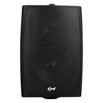 KFW frog (KFW)WH-65 public radio conference room speaker background music sound conference sound