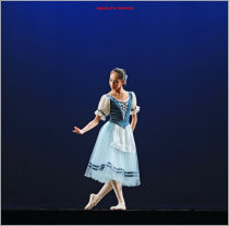 Tailor-made peach and Plum Cup performance suit National costume Ballet suit Russian dance costume Womens jumpsuit yarn skirt