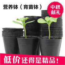 Supply seedling bags nutrition bowls nutrition bags nutrition cups plastic flower pots seedling pots disposable pots