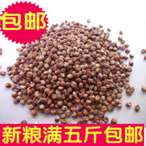 New red sorghum skin sorghum parrot niao liang pigeons hamster feed one is one of full 5 catties