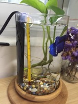 Small fish tank turtle tank heating rod Mini explosion-proof automatic constant temperature heating rod Betta heating rod