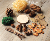 Forest Baby Suit Photo Props Photography Background Cloth Regussen Series Dried Fruit Dried Flowers Pine Nuts Christmas Decorations