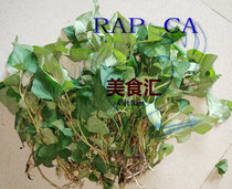 RAP CA Fresh Houttuynia 250g Vietnamese flavor Seasoning Natural vegetables