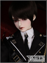 (LUTS)Senior65 Delf GINGER (customs declaration Group)