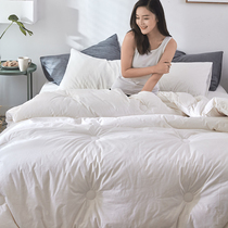 Export plant soybean fiber is cotton quilt winter thickened warm spring autumn winter quilt double Cotton
