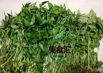 Rau Ram Fresh Fake spicy Polygonum 500g Bent head egg Hairy egg Bibi Laksa leaf spice Fresh dish