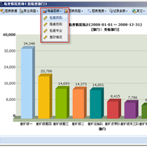 Project Management System Development Custom Chart Development extjs easyui Framework Mobile APP Development