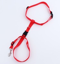 Pet leash pet drawstring pet drawstring pet drawstring leash running dog take running walking dog strap 2 5*155