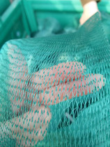 Sale net pocket fish net pocket egg net pocket fruit net pocket