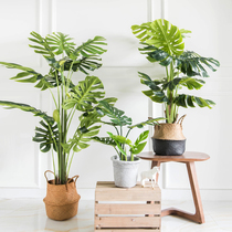 Creative simulation green plant potted bonsai decoration Living room model room decoration TV cabinet next to floor-to-ceiling display