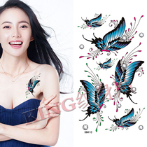 KING tattoo sticker blue butterfly waterproof women costume studio photo Big Picture tattoo sticker HM410