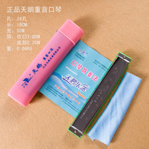 Swan polyphonic accent 24 holes C tune harmonica musical instrument students children beginner harmonica play harmonica