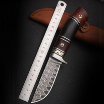 Imported Damascus steel outdoor knife collection small straight knife sabre field survival self-defense High hardness small straight knife